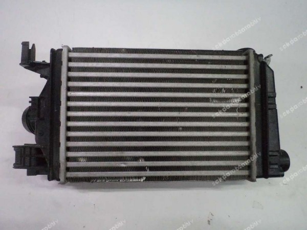 Renault Clio 5 Taliant Dacia Sandero Turbo Radyatörü Orj 144968819R CP (HD-120)