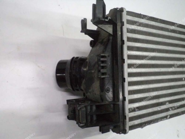 Renault Clio 5 Taliant Dacia Sandero Turbo Radyatörü Orj 144968819R CP (HD-120)