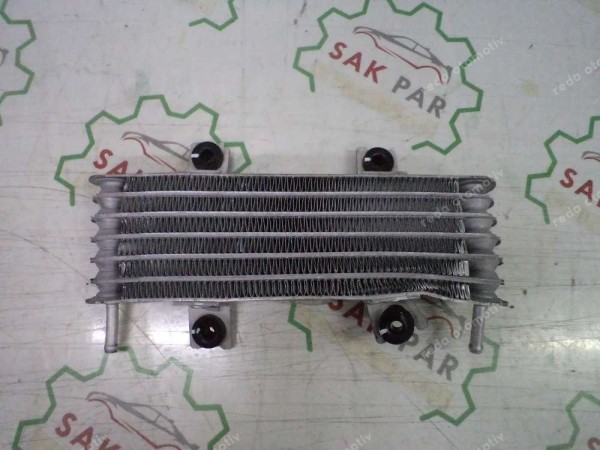 Renault Clio 5 Taliant Yağ Soğutucu Adblue Radyatörü Orj 213056804R SP HP (HD-120)