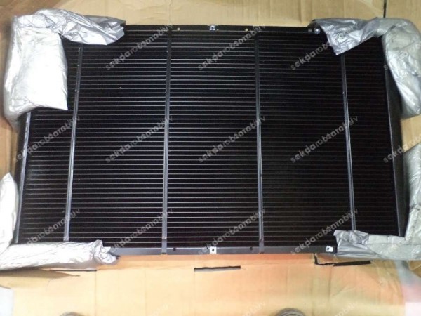 Renault Master 2 Motor Su Radyatörü Orj 7701046209 7701043670 YP (HD-120)