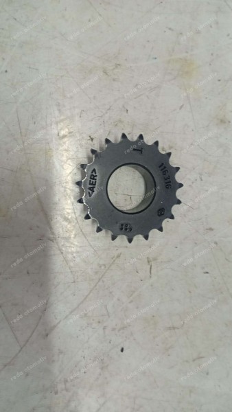 Renault Clio Krank Mili Dişlisi 116316 CP (CA-120)