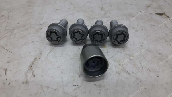 Renault Şifreli Bijon Seti YP (BG-120)