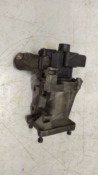 Peugeot Citroen EGR Valfi 9656911780 CP (CG-120)