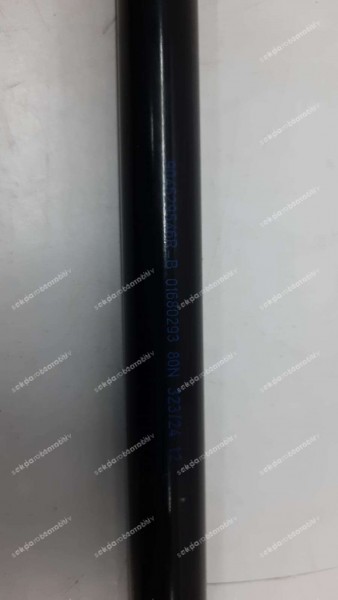 Renault Megane 4 Bagaj Kapak Amortisörü 904529546R SP (EH-110)