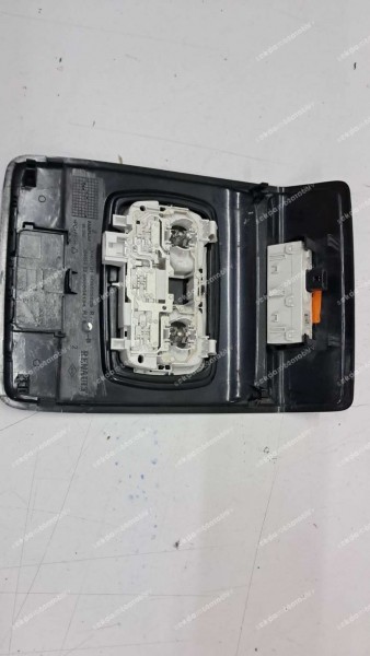 Renault Clio 5 Tavan Aydınlatması Komple 969805529R SP (FB-124)