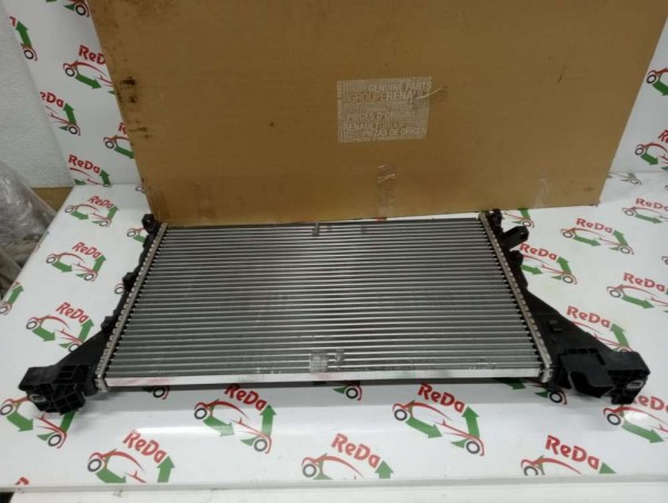 Renault Master 3 Motor Su Radyatörü Tek Teker Orjinal YP (ID-120)