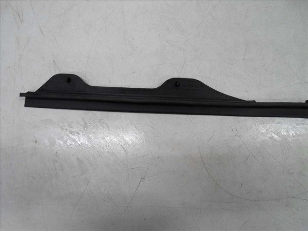 Renault Scenic 3 Sağ Ön Kapı Toz Lastiği Fitili Orjinal 808300019R YP (F1)