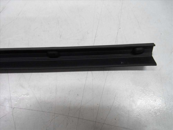 Renault Scenic 3 Sağ Ön Kapı Toz Lastiği Fitili Orjinal 808300019R YP (F1)