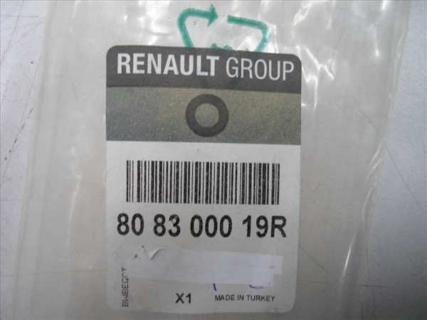 Renault Scenic 3 Sağ Ön Kapı Toz Lastiği Fitili Orjinal 808300019R YP (F1)