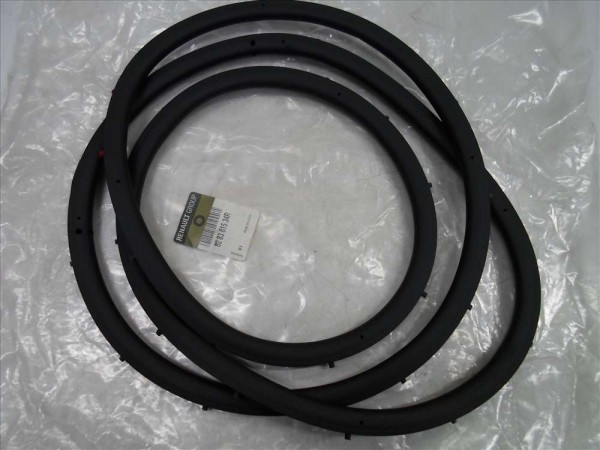 Renault Talisman Arka Sağ Kapı Contası Fitili Orjinal 828381534R YP (F2)