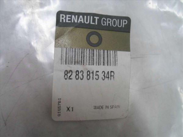 Renault Talisman Arka Sağ Kapı Contası Fitili Orjinal 828381534R YP (F2)