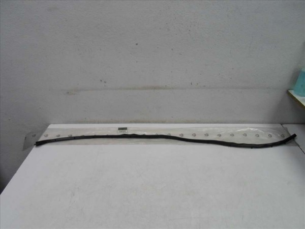 Renault Scenic 2 Sol Arka Kapı Alt Fitili Orjinal YP (F1)