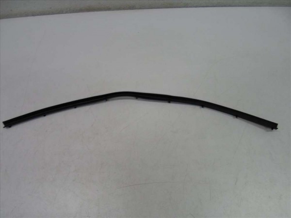 Renault Scenic 2 Sağ Ön Kapı Alt Fitili Orjinal YP (F1)