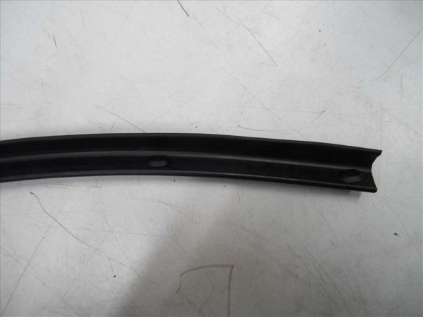 Renault Scenic 2 Sağ Ön Kapı Alt Fitili Orjinal YP (F1)