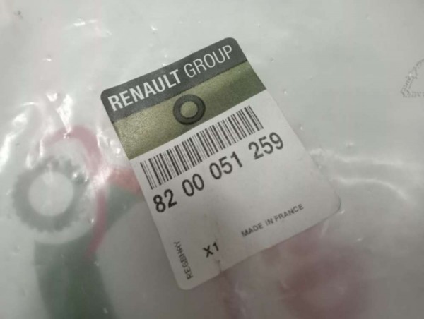 Renault Kangoo Sağ Yan Kapı Cam Fitili Orjinal 8200051259 YP (F3)