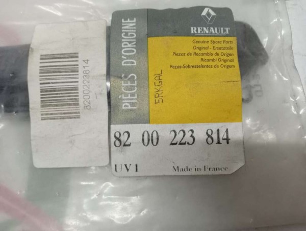 Renault Megane Sağ Arka Cam Direği Lastiği Fitili Orjinal 8200223814 (F1)