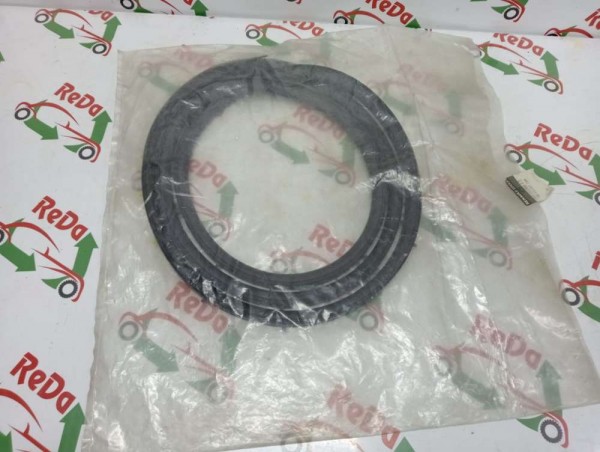 Renault Talisman Sağ Ön Kapı Contası Lastiği Fitili 808306775R YP (F2)