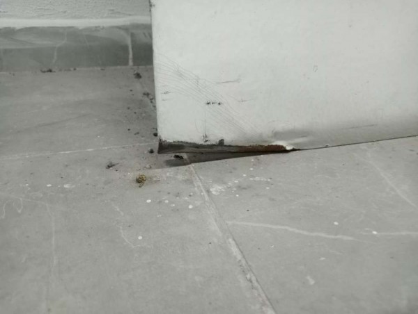 Opel Movano Sağ Yan Sürgülü Kapı 95525958 CP HP