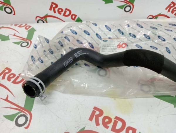 Ford Focus 3 1.6 Benzinli Radyatör Üst Hortum ORJİNAL 8V61-8260-KC YP [A-D-130]