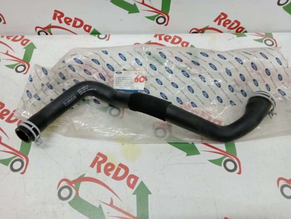 Ford Focus 3 1.6 Benzinli Radyatör Üst Hortum ORJİNAL 8V61-8260-KC YP [A-D-130]