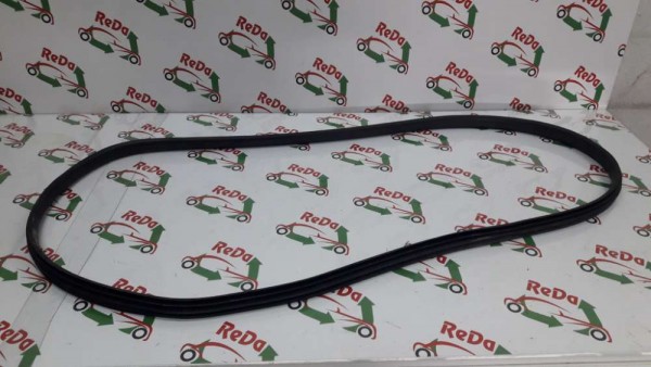 Renault Taliant Arka Kapı Fitili YP SP