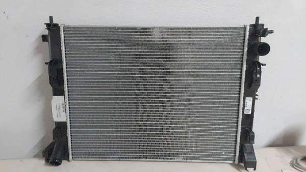 Renault Clio 5 Nissan Micra Su Radyatörü Orjinal 214105FA0B YP (HD-120)
