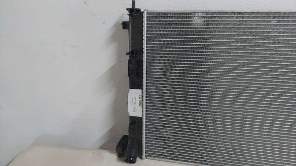 Renault Clio 5 Nissan Micra Su Radyatörü Orjinal 214105FA0B YP (HD-120)